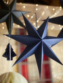 Maddox Star - Large - Ink 6 Maddox Star - Large - Ink -Garden Trading Store Website Crop Maddox Star Large Ink MGIK03 07061.1666184683